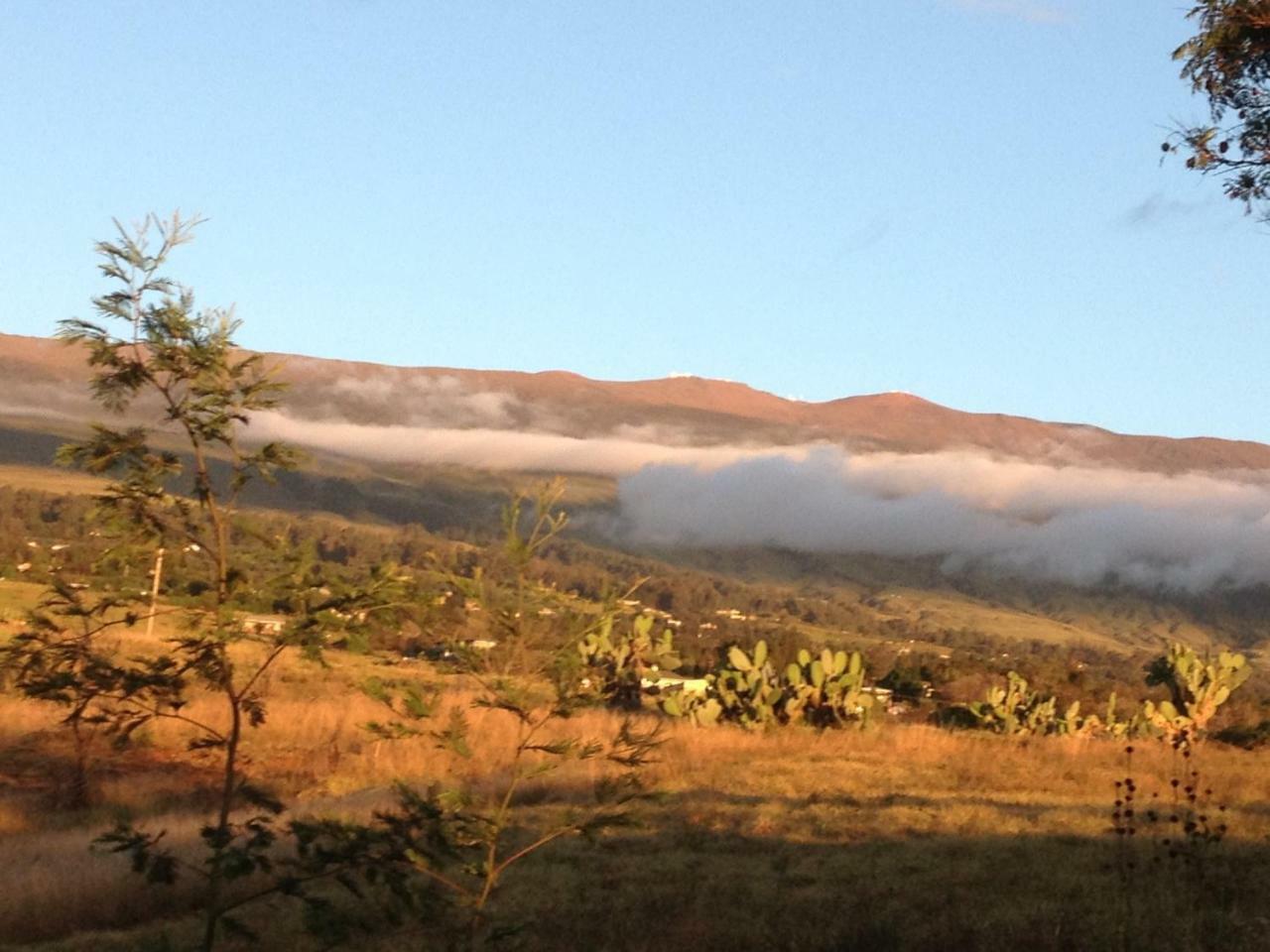 Ha'Le Kiana Bed and Breakfast Kula Exteriör bild